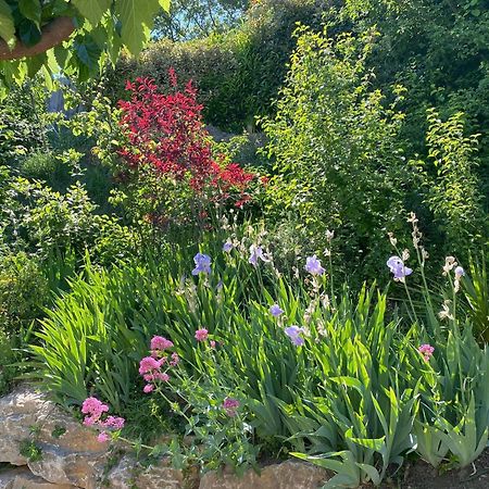 Le Jardin De Lau Villa Обиньон Екстериор снимка