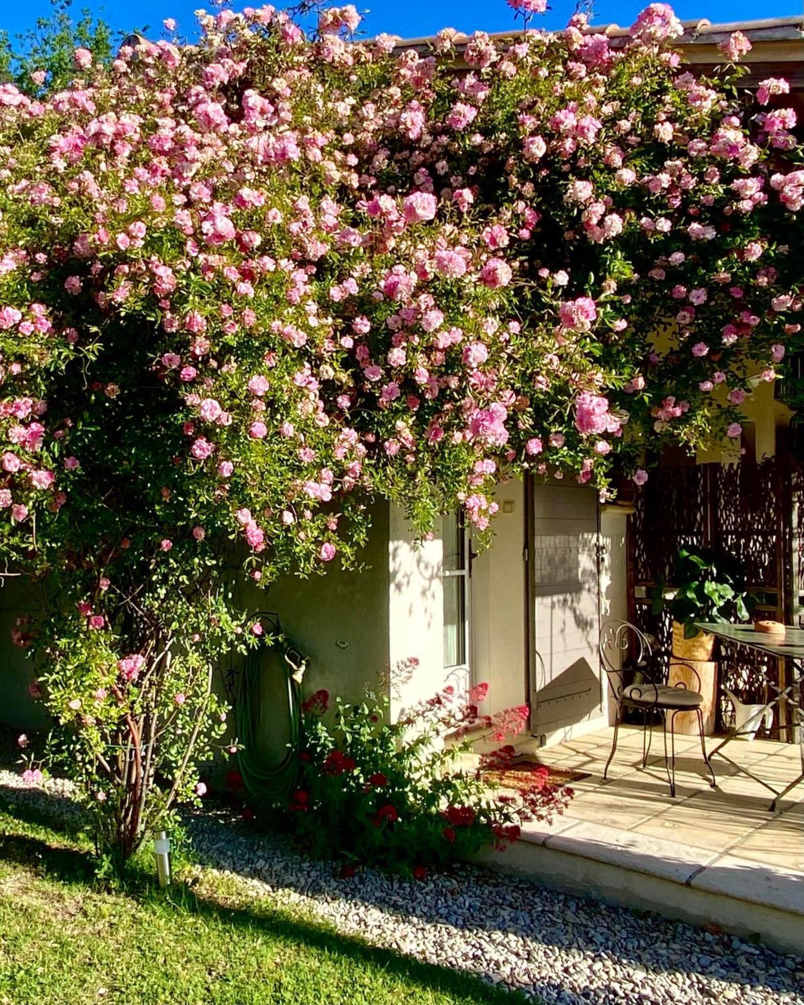Le Jardin De Lau Villa Обиньон Екстериор снимка