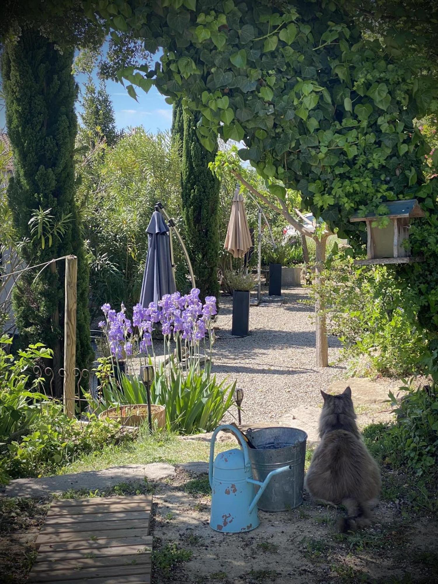 Le Jardin De Lau Villa Обиньон Екстериор снимка